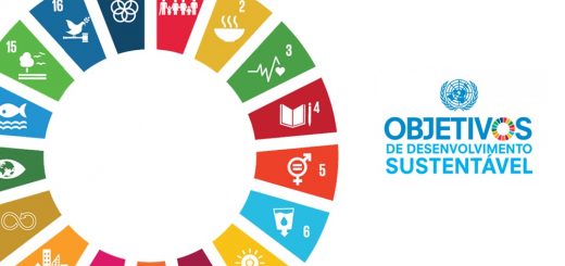 Ama atua na municipalização dos 17 Objetivos de Desenvolvimento Sustentável da ONU