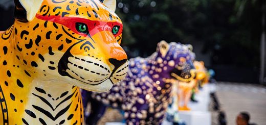 Onças-pintadas da Jaguar Parade invadem Florianópolis