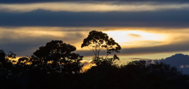 Cúpula da Amazônia abre espaço para economia circular
