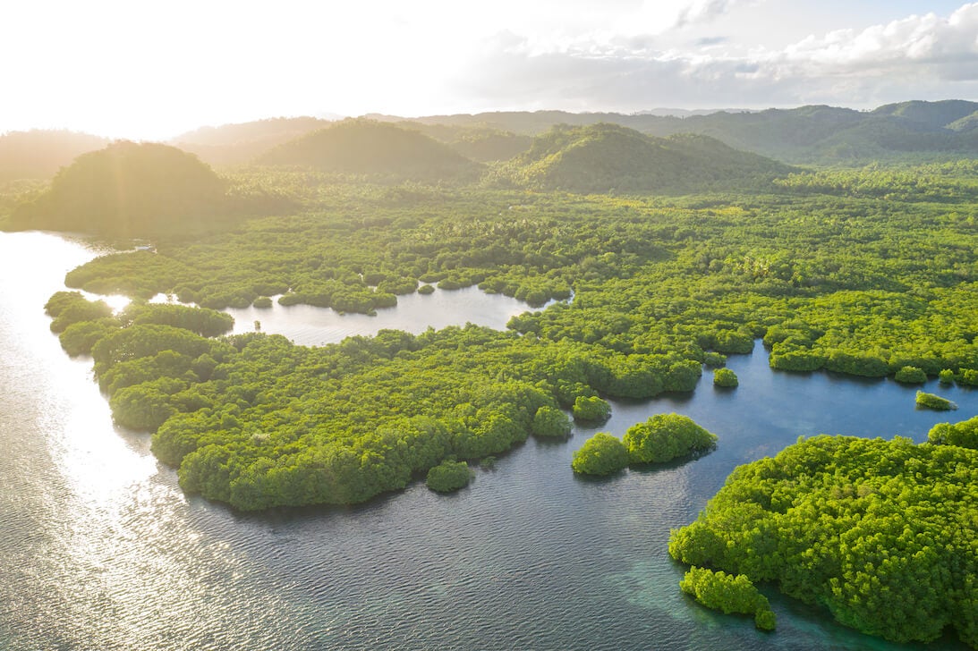 Floresta Amazônica sediará final do XPRIZE Rainforest
